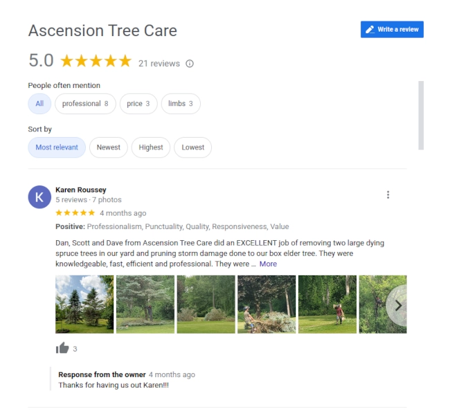 An example of Google reviews for a tree service company