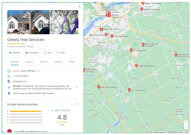 An example of a Google Business Profile for a tree service company